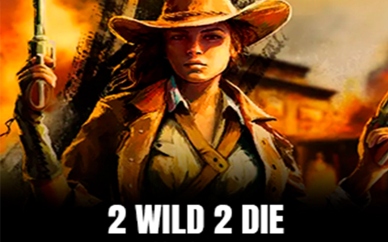 Play 2 Wild 2 Die slots getting gifts every day at Rolletto.